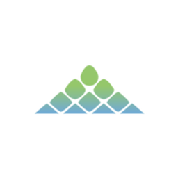 AMBARELLA CORP