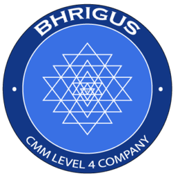 Bhrigus Inc