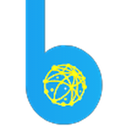 BRILLFY TECHNOLOGY INC.