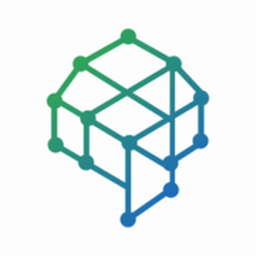 BUSINESS INTELLI SOLUTIONS INC