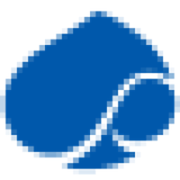 CAPGEMINI U.S. LLC