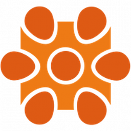 Caprus IT Inc