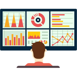 DATA DOMAIN LLC