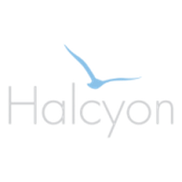 HALCYON SOLUTIONS INC