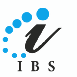 INTELLECT BUSINESS SOLUTIONS