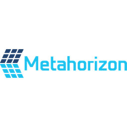 METAHORIZON INC
