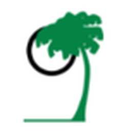 PALM INC