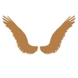 Shakti Group, Inc.