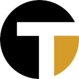 TANVI IT SOLUTIONS INC
