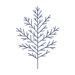 Ten Oaks LLC