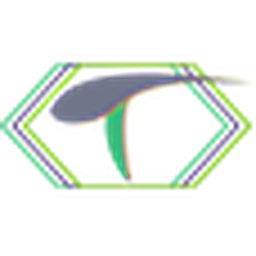 TRANSCEND IT SOLUTIONS