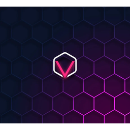Visionet Systems Inc