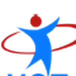 VST CONSULTING INC