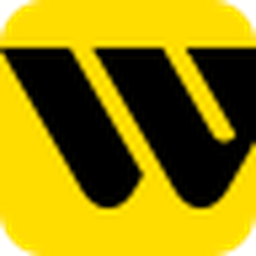 WESTERN UNION LLC
