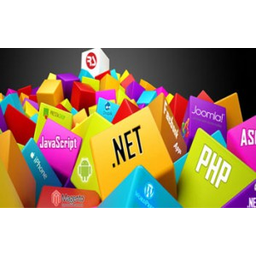 WISDOM INFOTECH