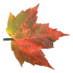 WOODLAND CARE CENTER LLC
